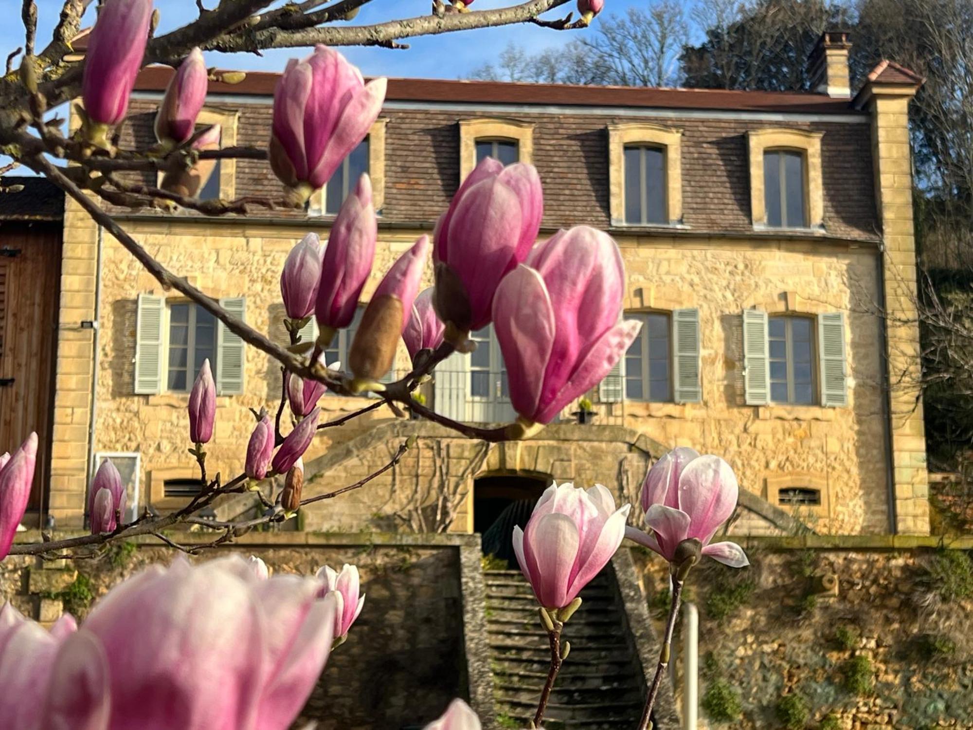 Le Clos De L'Ane Dentelle Vezac  Bagian luar foto