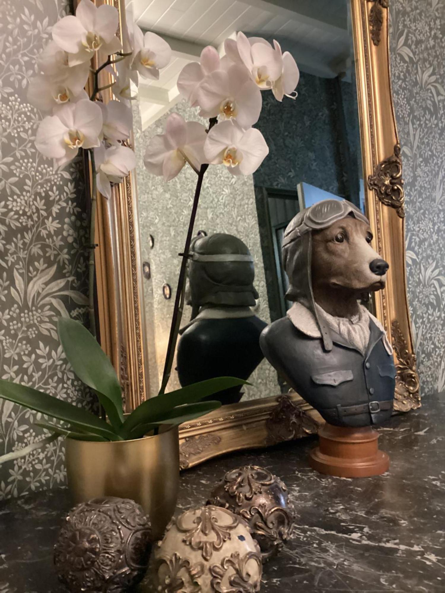 Le Clos De L'Ane Dentelle Vezac  Bagian luar foto